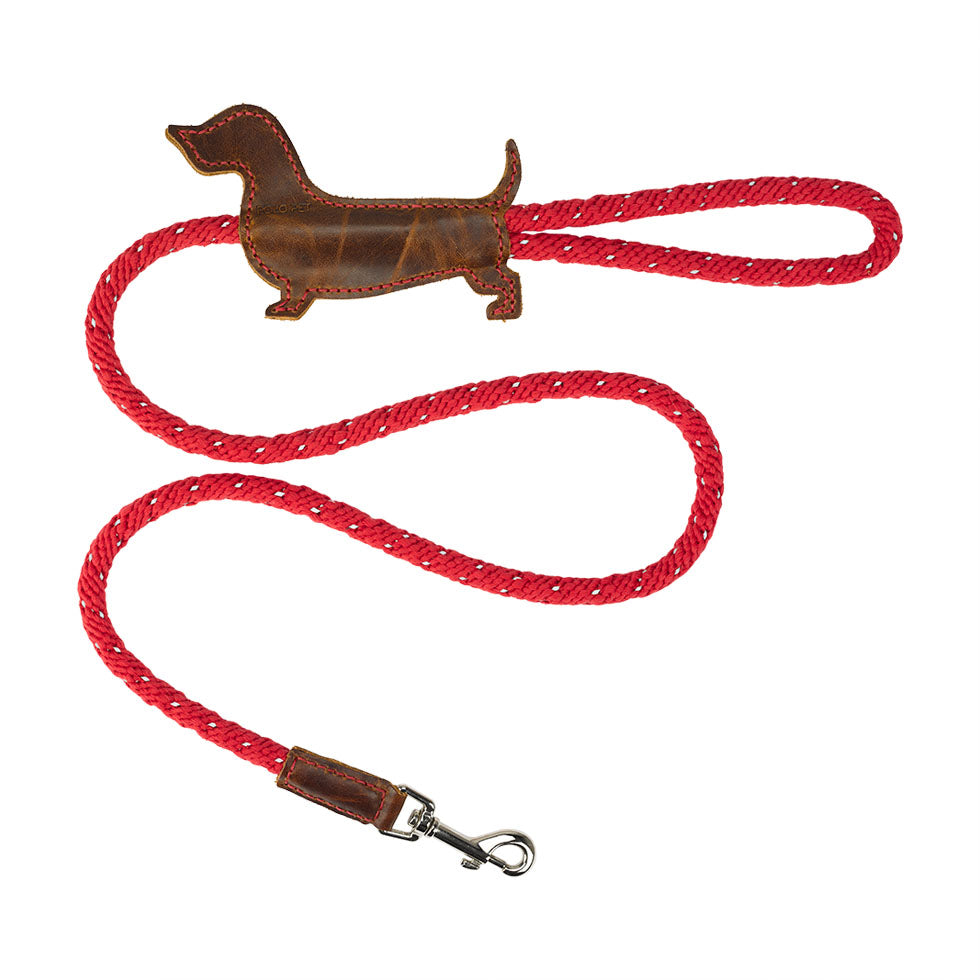 Dachshund  Red X Vintage Brown leash