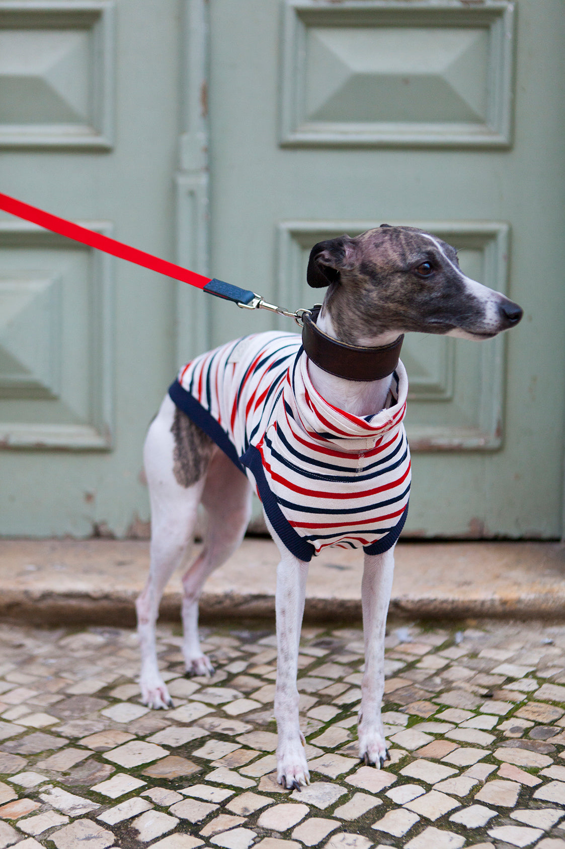 Whippet Nautical Vibes